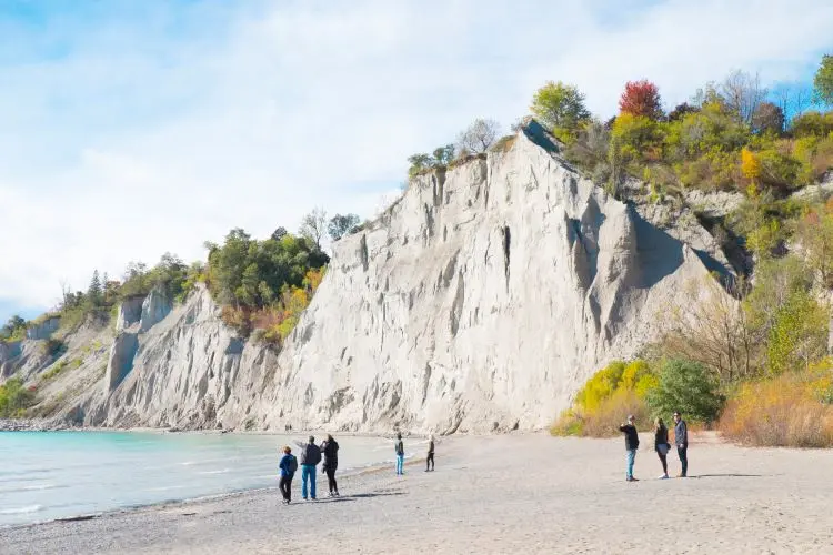Une immense falaise entourée d’arbres surplombe une grande plage où les familles peuvent se promener et jouer.