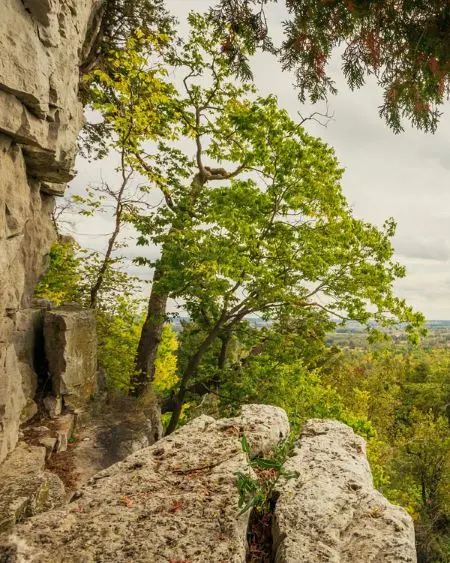 래틀스네이크 포인트(Rattlesnake Point) 전망대에서 바라본 들판과 나이아가라 급경사면.