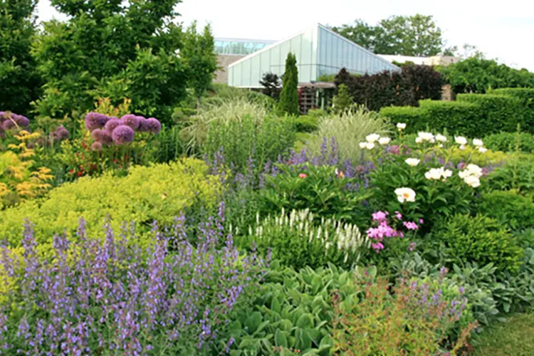 Üppige Büsche, Sträucher, Blumen und Bäume umgeben ein Glasgebäude im Toronto Botanical Garden.