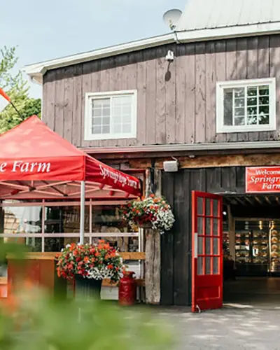 Käufer stöbern auf der Springridge Farm nach Weihnachtsdekorationen und Weihnachtsgeschenken.