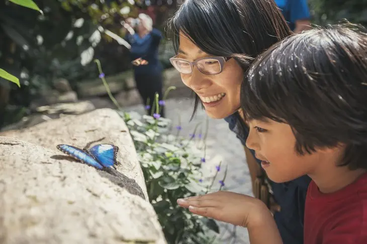 Una madre y su hijo admiran una mariposa. 