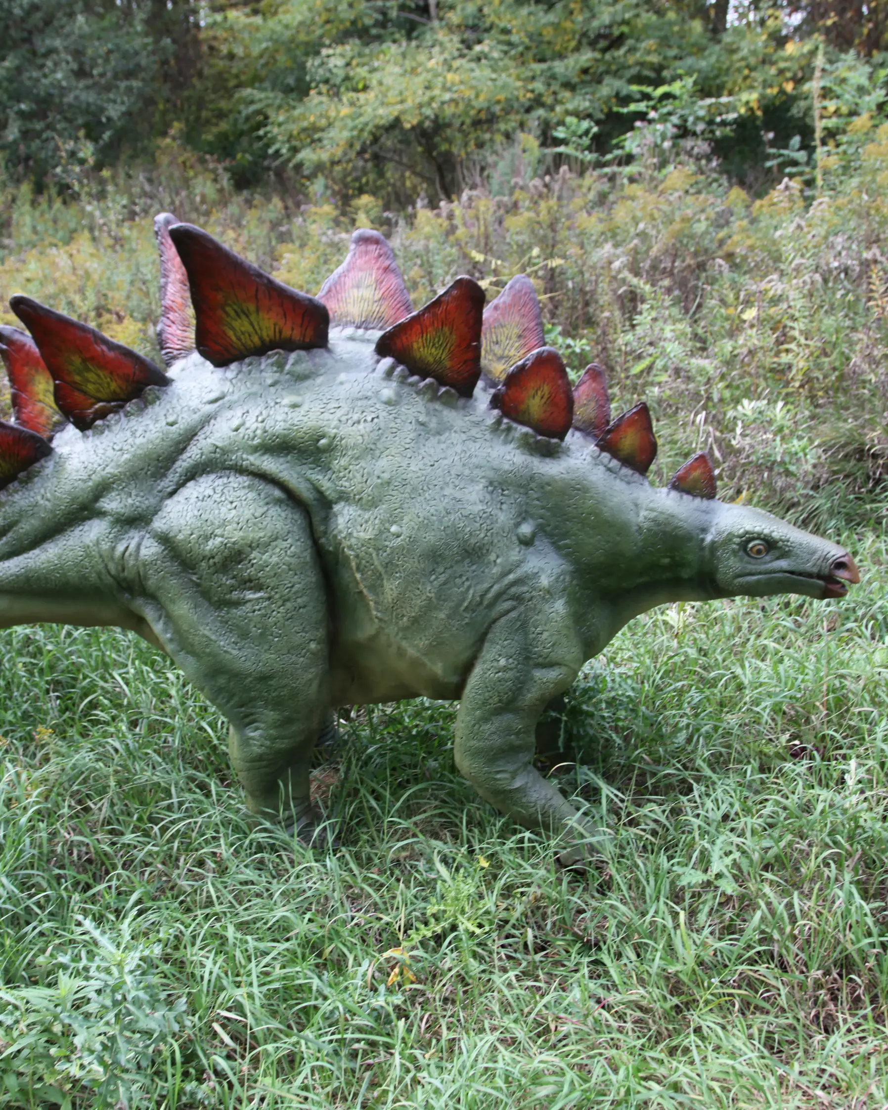 A life-size dinosaur in an outdoor park