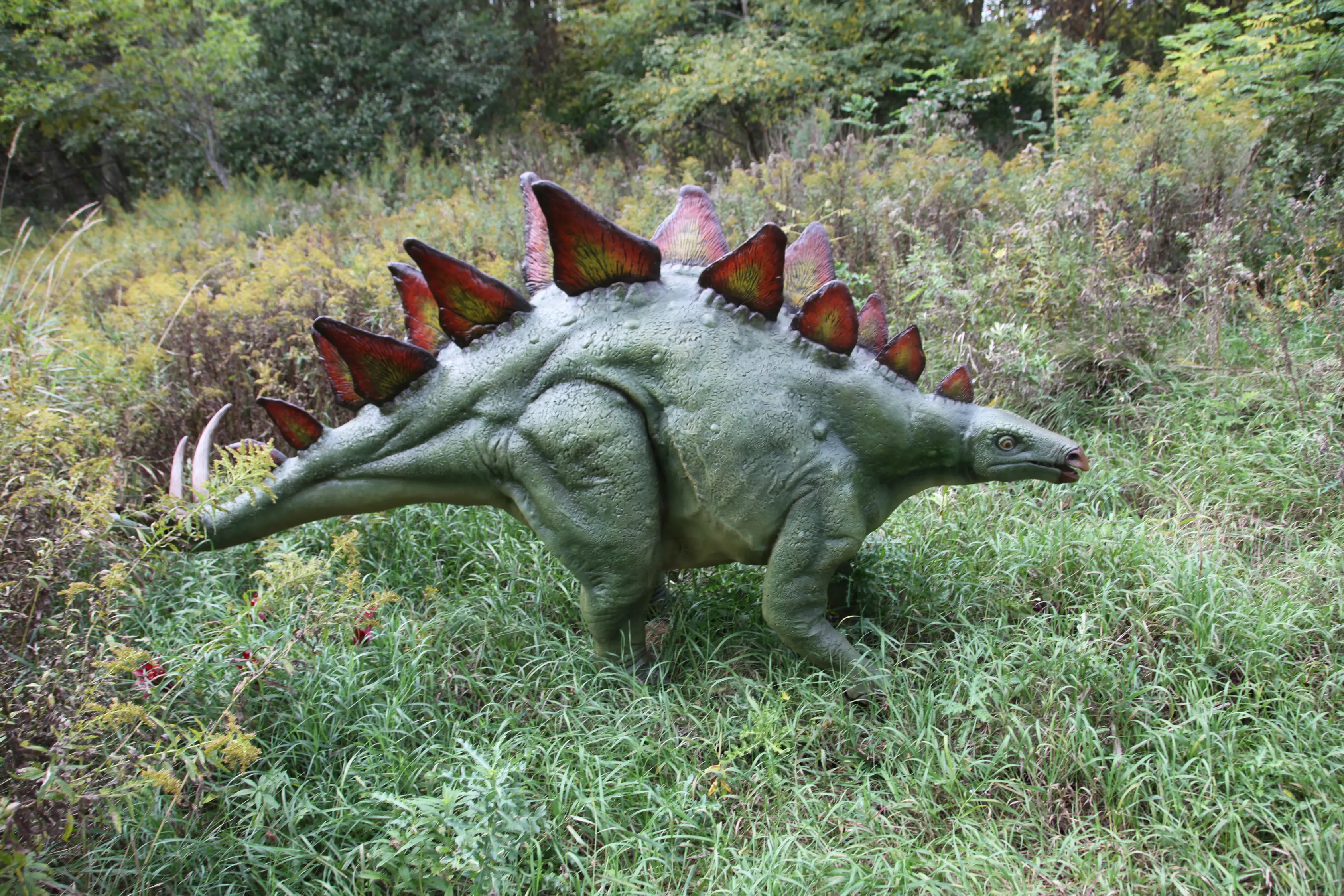 Ein lebensgroßer Dinosaurier in einem Outdoor-Park