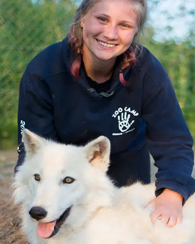 若い女性が野生動物公園でオオカミの赤ちゃんを撫でている。