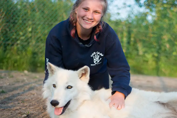 Una mujer joven acaricia a un cachorro de lobo en un parque de vida silvestre.