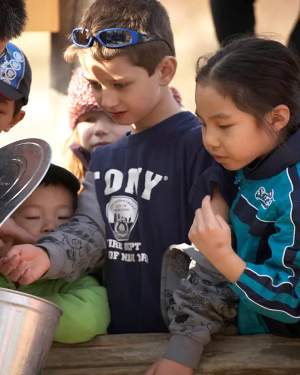 A group of children gather to view a bucket for tapping maple syrup.