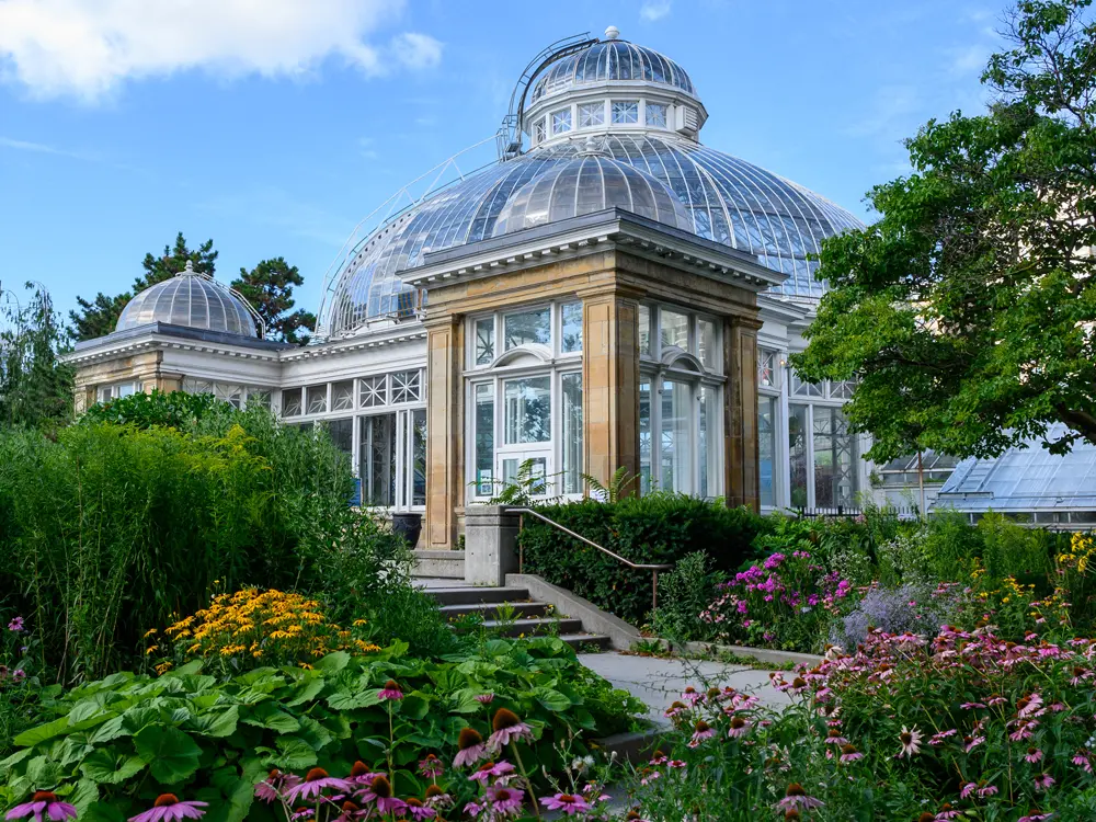 Divers cactus et autres plantes remplissent une serre intérieure dans une véranda.
