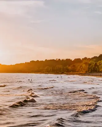 수영과 일광욕을 즐기는 사람들이 일몰을 즐기는 포트 스탠리 해변으로 밀려오는 파도, 매력적인 별장과 나무가 늘어선 주변 환경.