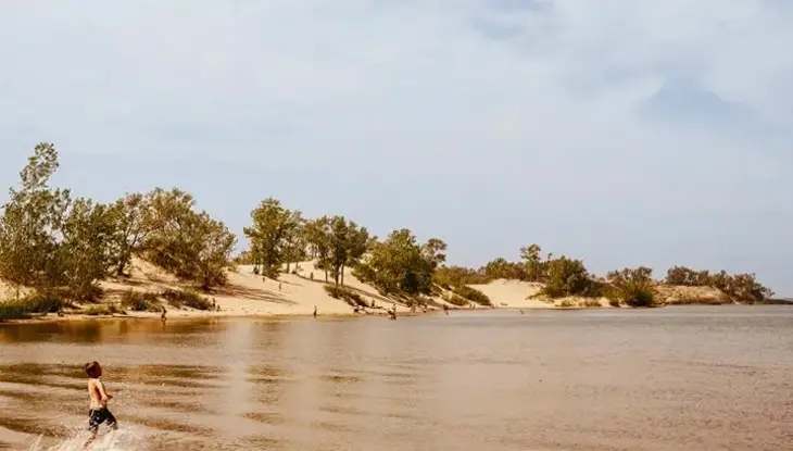  うねる砂丘、点在する木々、そしてかすんだ夏の空を背景に、サンドバンクス州立公園で水しぶきを上げる子供。