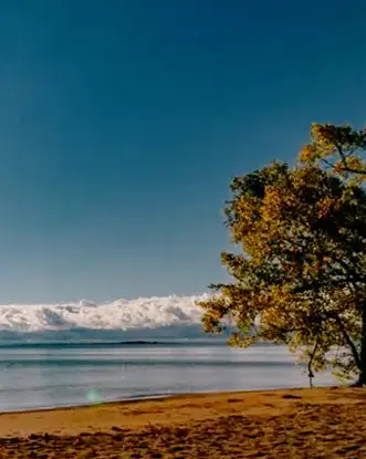 ターキー ポイント ビーチの晴れた朝。前景には金色の砂浜が広がり、穏やかな海には青い空と雲が映っています。