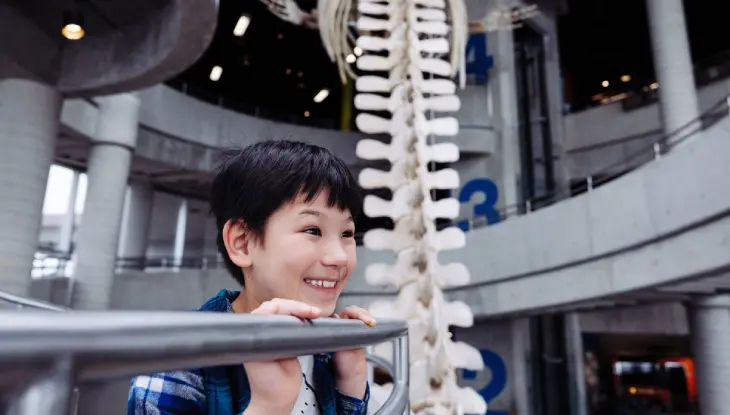 Un niño emocionado mirando la exhibición en Science North.