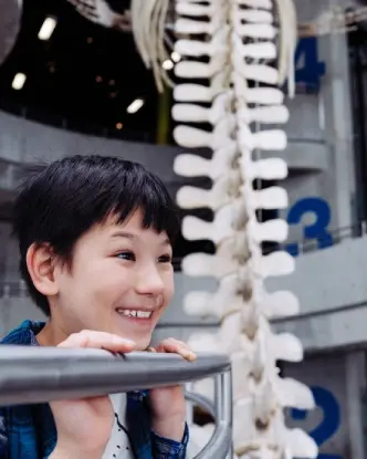 Un niño emocionado mirando la exhibición en Science North.