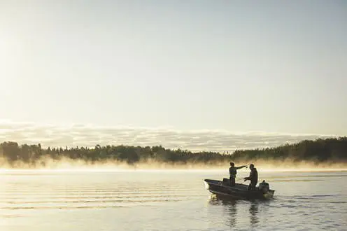 안개가 자욱한 아침에 보트에서 몇 마리의 물고기