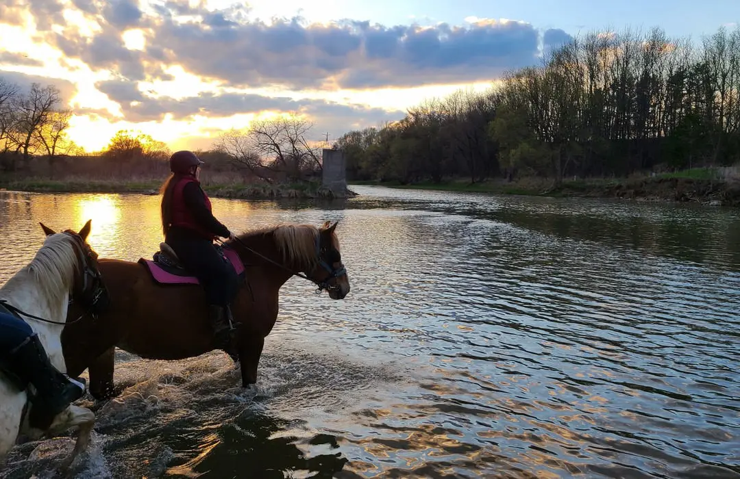 Deux chevaux et leurs cavaliers qui traversent une rivière vers une rive boisée de l'autre côté au lever du soleil.