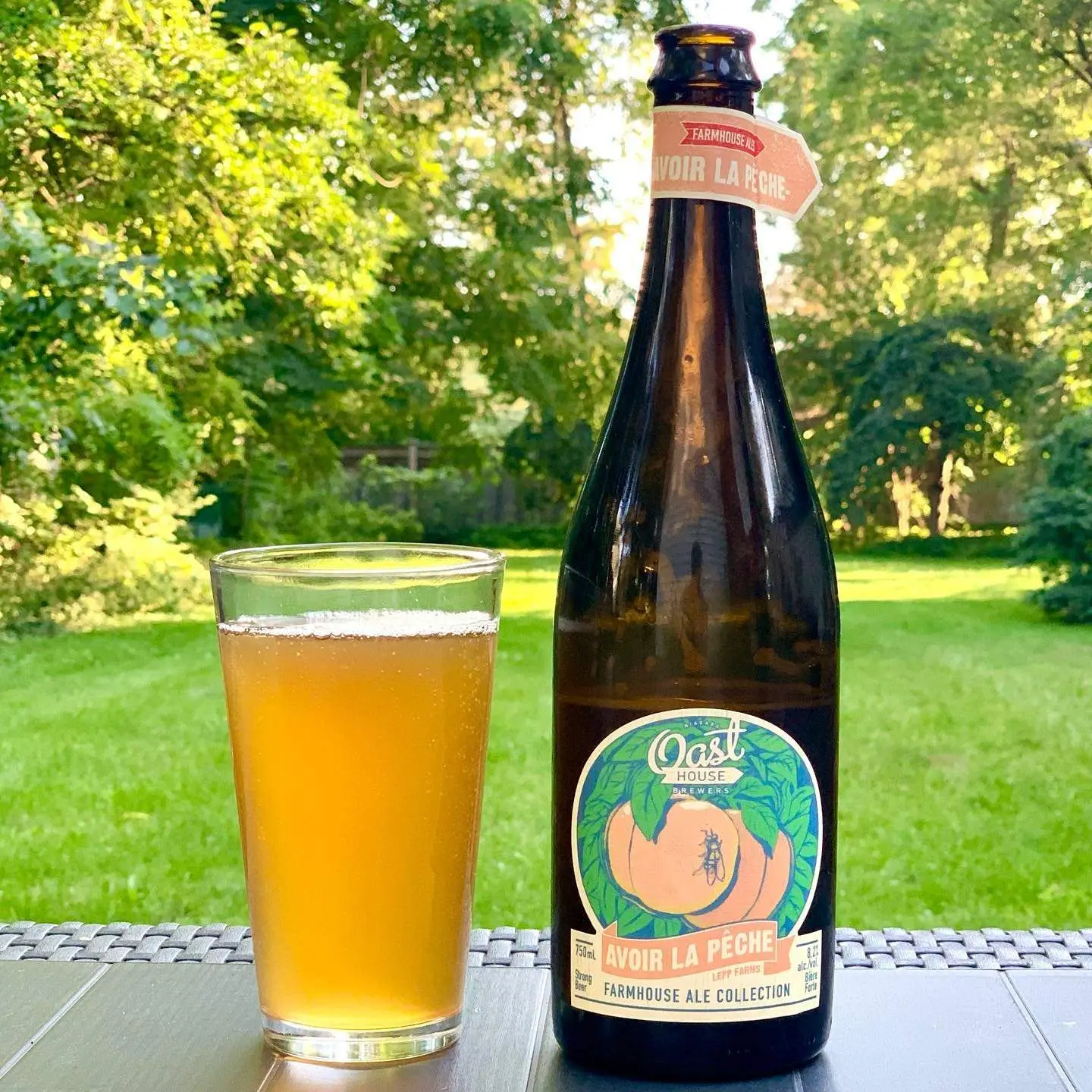 裏庭の背の高いビール瓶の横に、爽やかなビールのグラスが置かれている