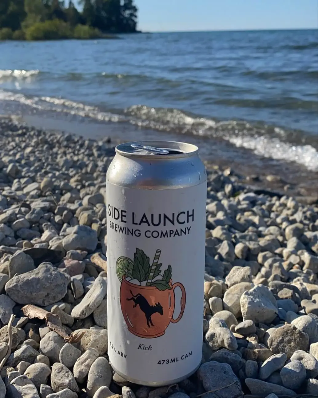 A can of beer resting on pebbles with a lake in the background