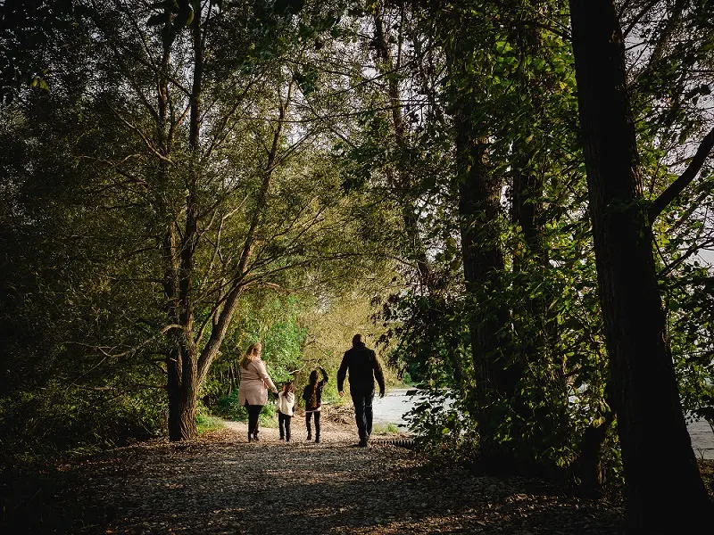 Una familia de cuatro dando un paseo por un bosque.