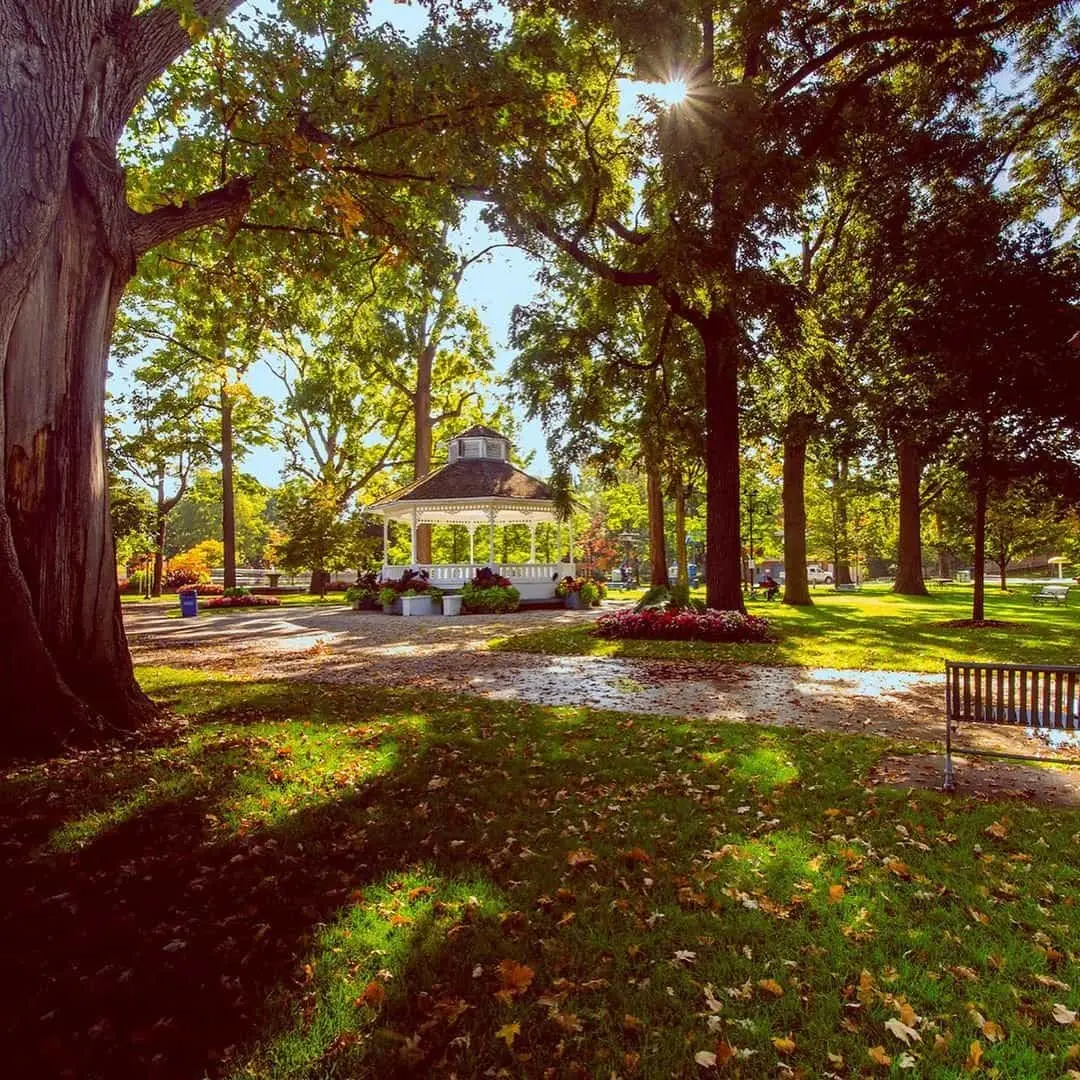 Sunshine peaking through the forest canopy with a gazebo in the distance and leaves strewn on the grass