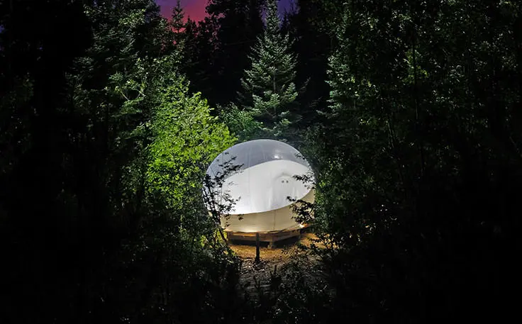 A dome-shaped tent with a transparent roof located in a large forest