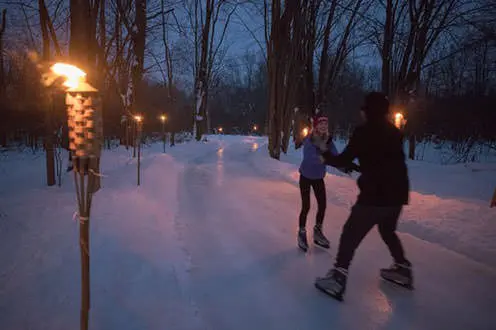 Two people skating on trail through forrest lit up by torches.