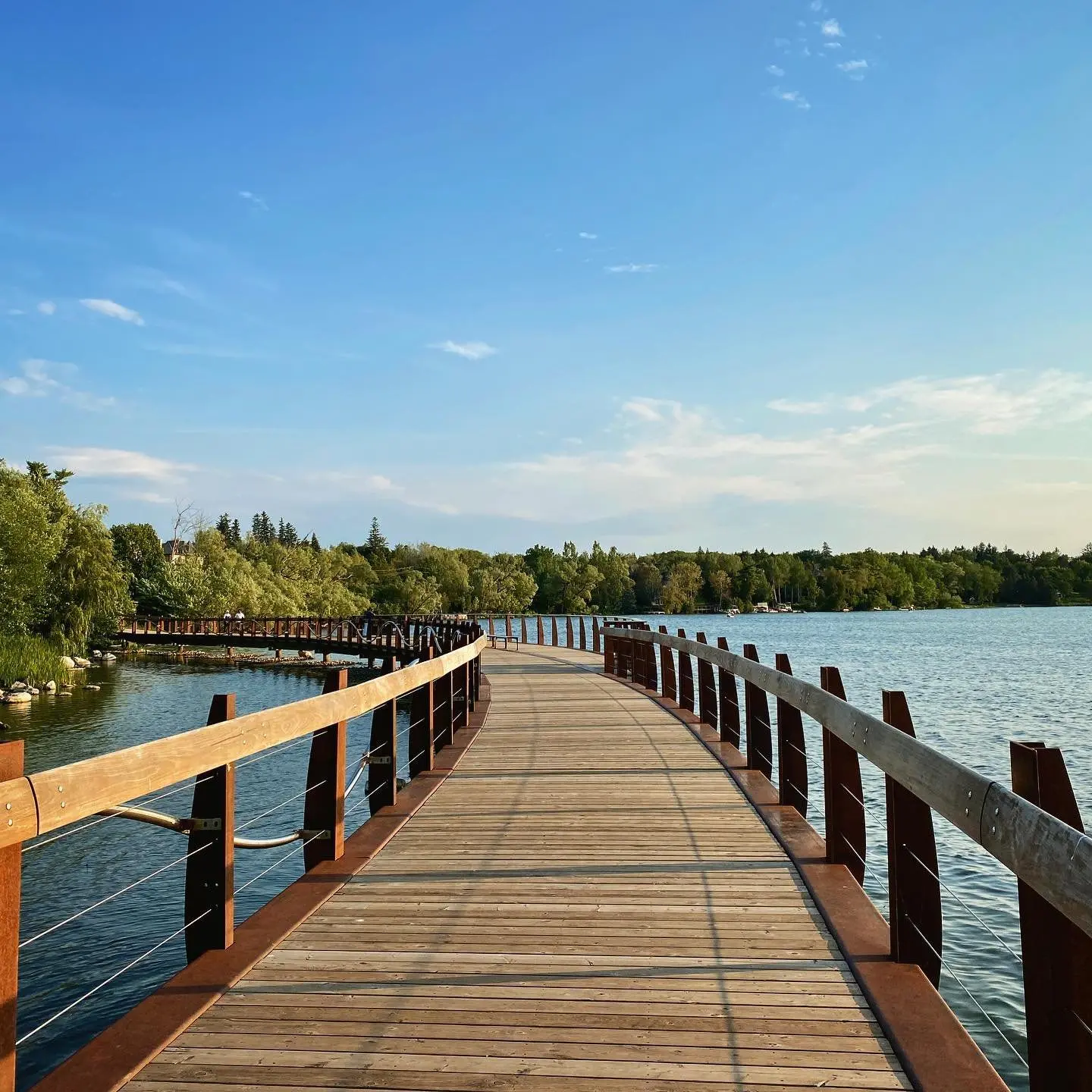 A raised boardwalk path over water.