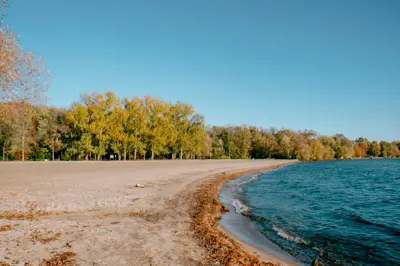 Amplia playa de arena en el Parque Provincial Mara, con tranquilas aguas azules del lago y árboles de principios de otoño bajo un cielo despejado.