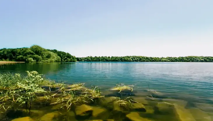 Clear shoreline at Grass Creek Park Beach, with calm waters and a lush tree line under a vivid blue summer sky.