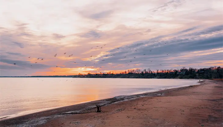 Sunrise over Seacliff Park Beach in Leamington, Ontario, with soft clouds, calm water, and birds flying across the pastel sky.