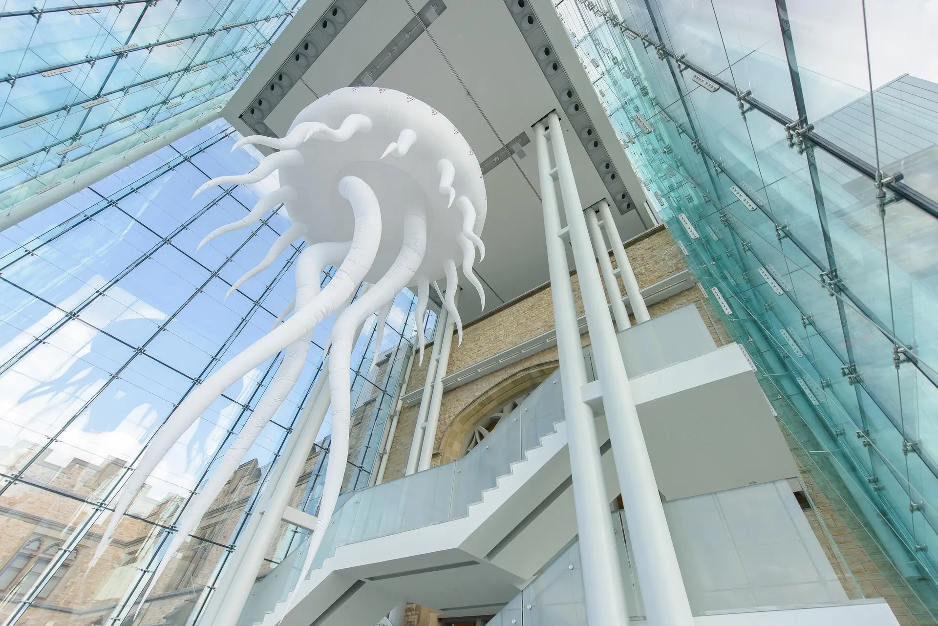 Display of a giant jellyfish in Canadian Museum of Nature in Ottawa.