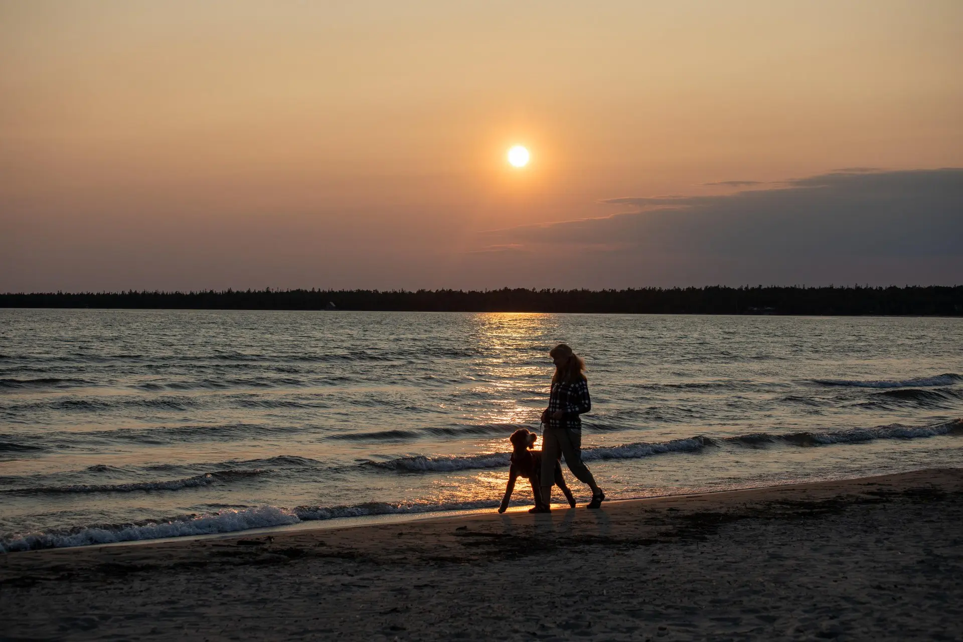 Una mujer y un perro caminan por la playa de arena mientras un hermoso sol naranja se pone sobre el agua.