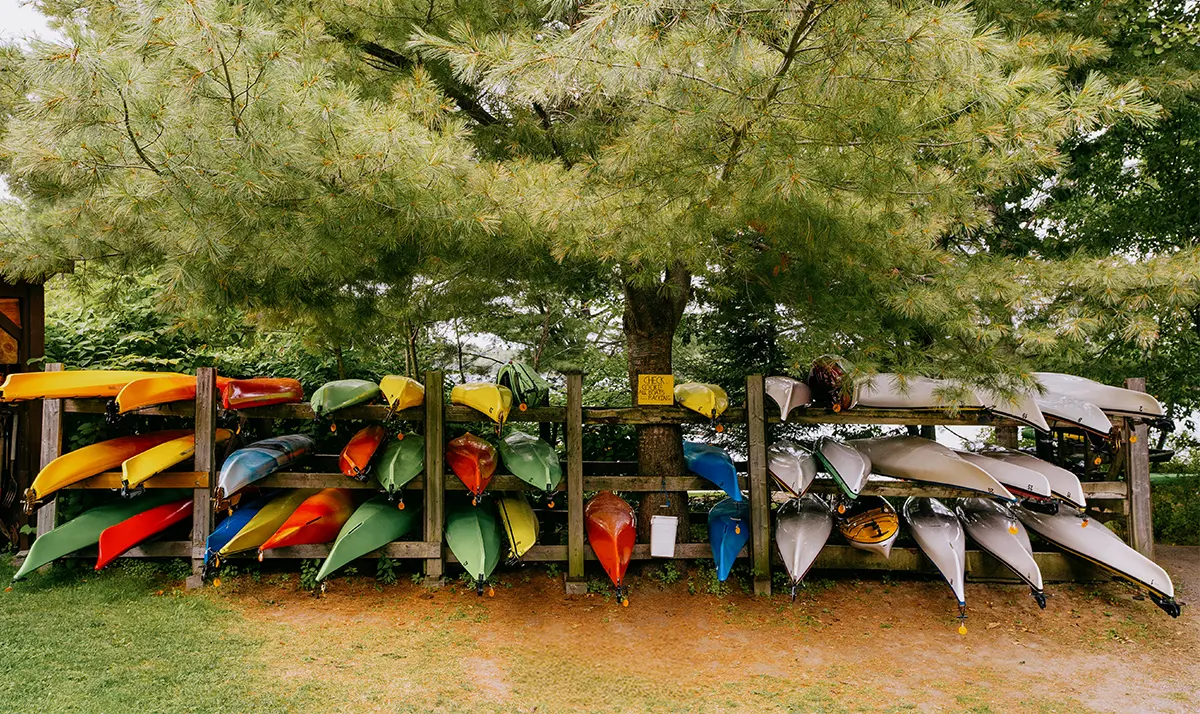 Outdoor kayak and canoe storage with colourful boats neatly stacked on metal racks under a large shady tree in Parry Sound, Ontario.