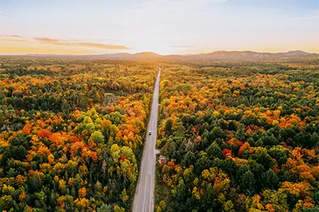 Road running through vibrant fall forest near Point Grondine in the Killarney area of Ontario.