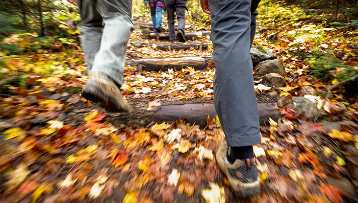 Gente caminando por un sendero forestal cubierto de hojas otoñales caídas.