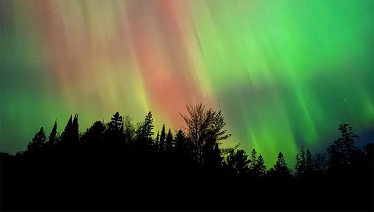 Green and pink auroras illuminating the night sky above a dark forested landscape.
