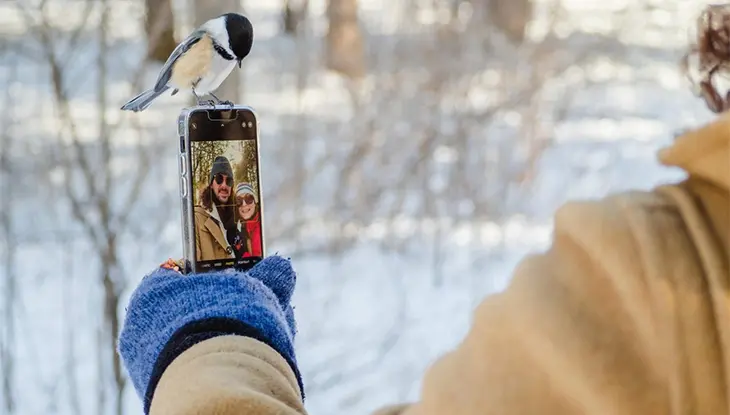 Small bird perched on a person’s gloved hand holding birdseed in a snowy woodland.