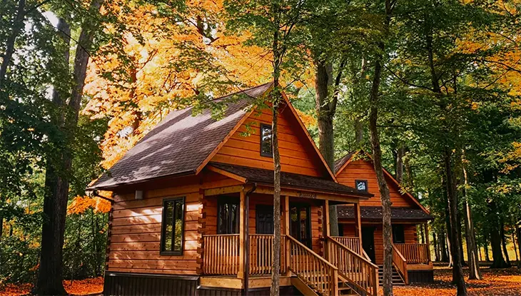 Cabane en bois, entourée de grands arbres, au cœur d’une forêt, avec des feuilles d’automne au sol et les rayons du soleil transperçant la canopée.