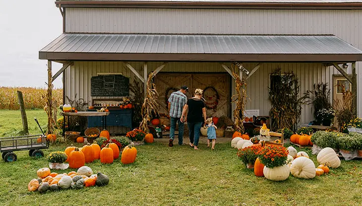 A rustic farm stand with pumpkins and gourds displayed on the lawn and around the covered porch.