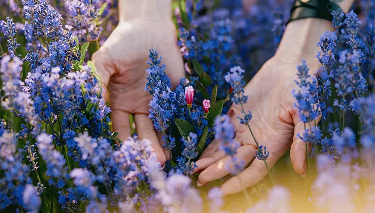 ブレスレットをつけた片方の手が、ラベンダーの植物に触れるように下へ伸びている。