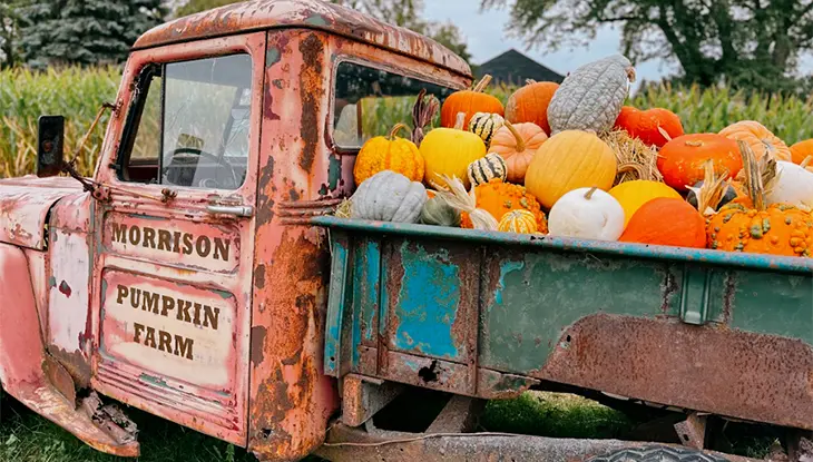 A vintage red farm truck loaded with pumpkins and gourds, with a pumpkin farm sign on the side.
