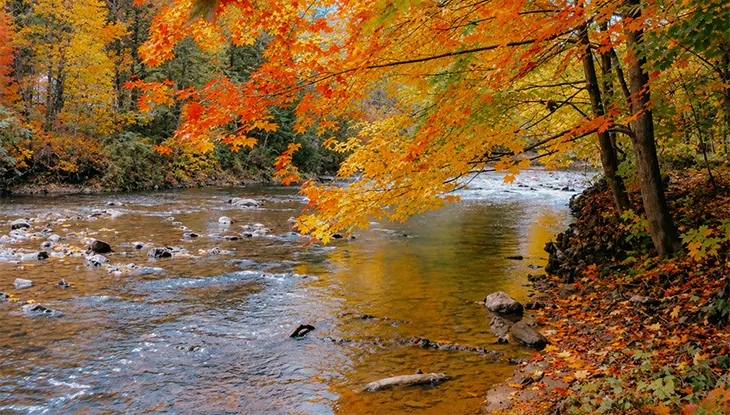 En otoño, un río tranquilo fluye a través de un bosque, con un follaje de vibrantes tonos naranjas, amarillos y rojos que bordean las orillas rocosas.