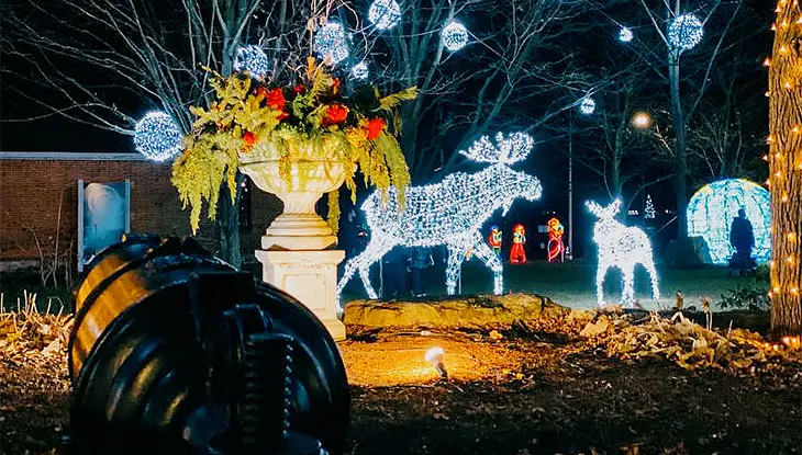 Outdoor winter light display featuring illuminated animal figures and glowing decorations among trees.