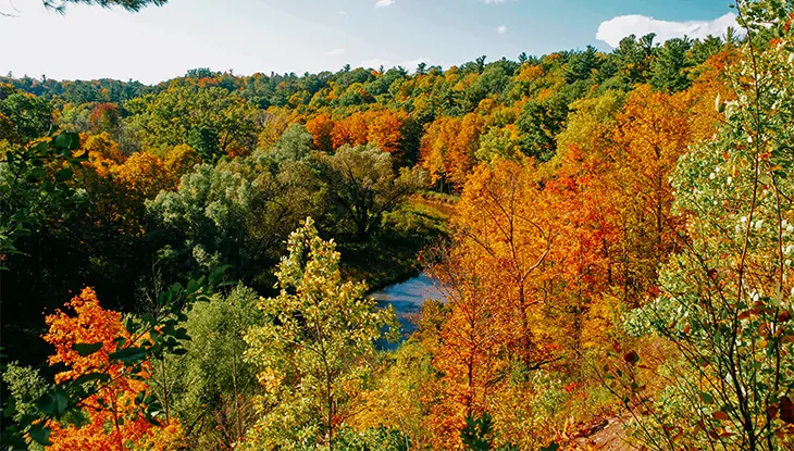 Un paysage boisé à l’automne, avec des arbres aux teintes vives d’orange, de jaune, de rouge et de vert entourant une petite rivière sinueuse.