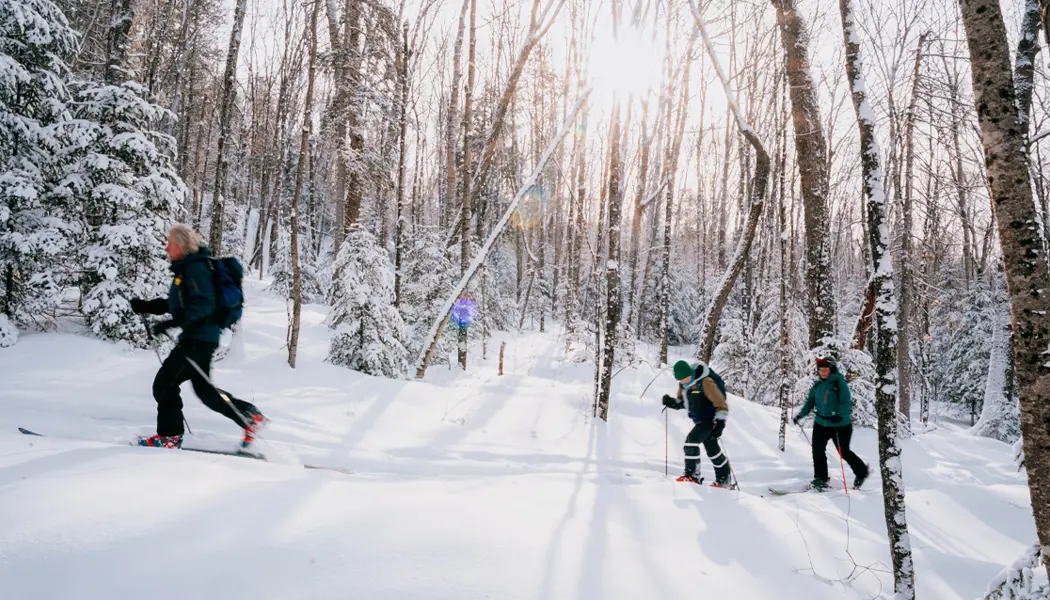 Trois personnes faisant du ski de fond sur un sentier forestier enneigé dans la région d’Algoma, dans le Nord de l’Ontario.