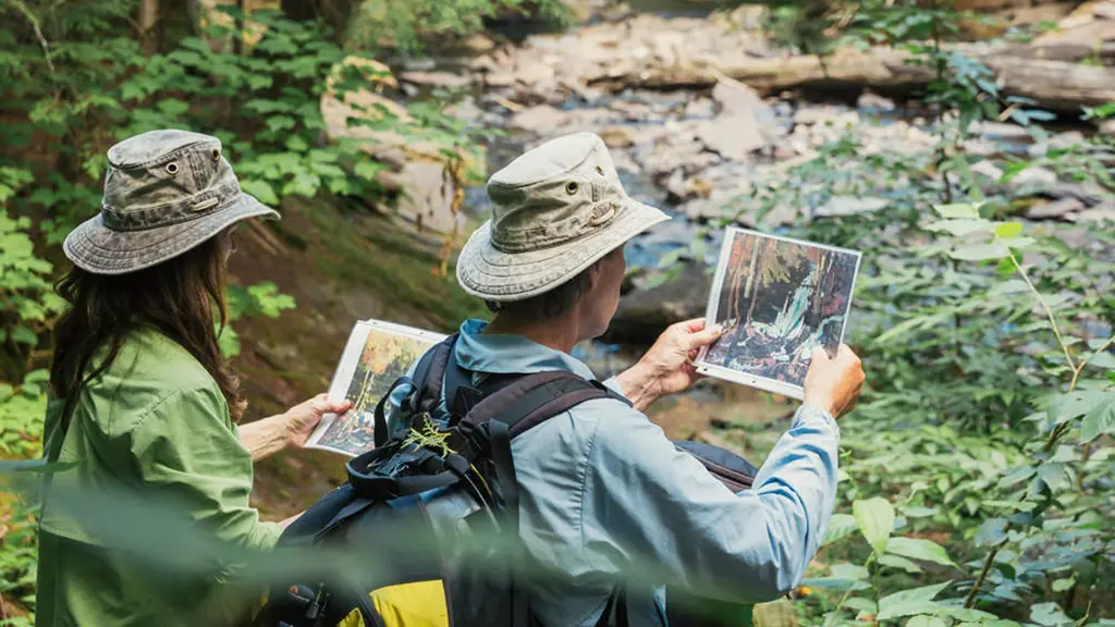 A man and woman compare Group of Seven artwork with the landscape