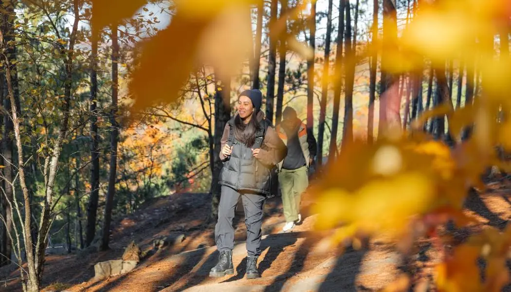 Zwei Personen wandern während der malerischen Herbstzeit auf einem Pfad zu einem Aussichtspunkt im Algonquin Provincial Park.