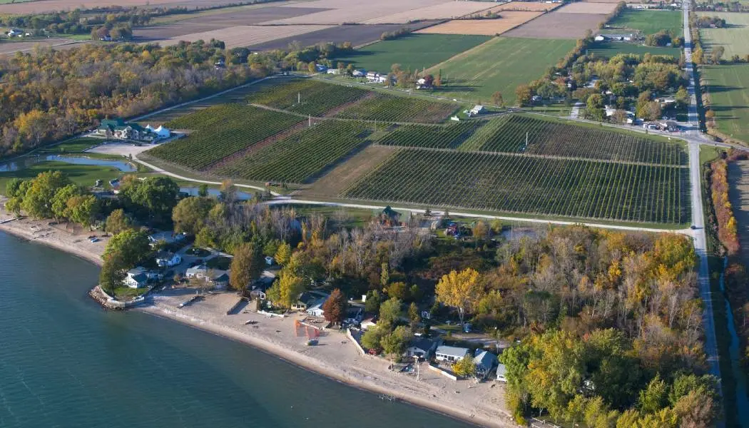 Vue aérienne de champs agricoles, de vignobles et de maisons près de la plage sablonneuse de la rive nord du lac Érié.