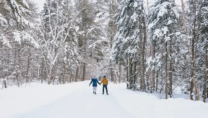 Couple en train de patiner en se tenant par la main sur un sentier glacé dans la forêt du parc Arrowhead.