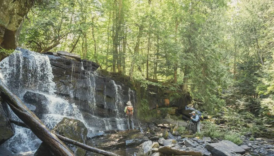 Dos excursionistas se detienen para admirar una pintoresca cascada a lo largo del sendero Barron Canyon en el Parque Provincial Algonquin.