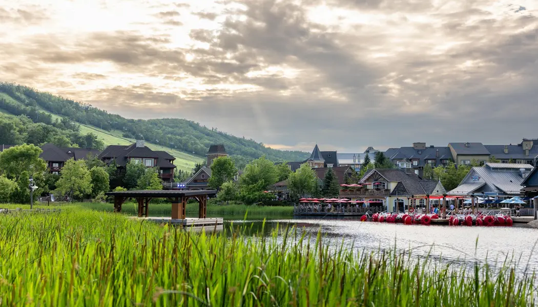 ブルー マウンテン リゾート周辺の緑豊かな山腹、池、葦の上にドラマチックな夏の空が輝いています。