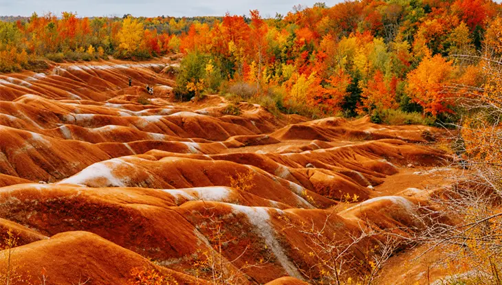Red sandstone badlands with winding ridges surrounded by vibrant autumn foliage.